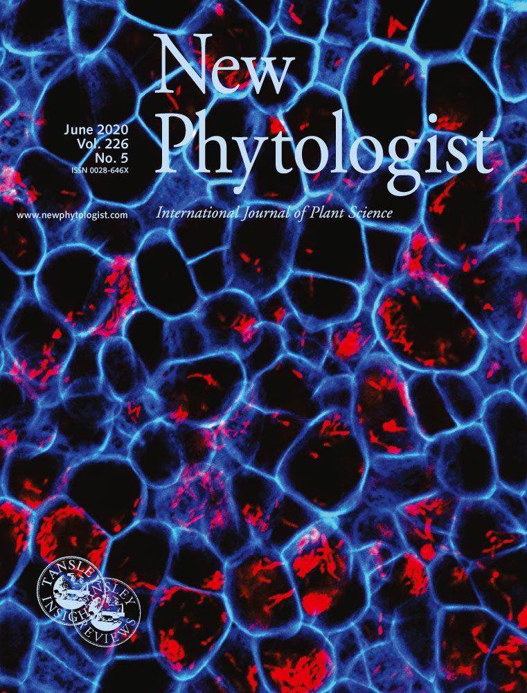 nph.v226.5.cover_.jpg