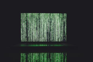 Understanding the shape of biological data: looking through the lens of optimal transport