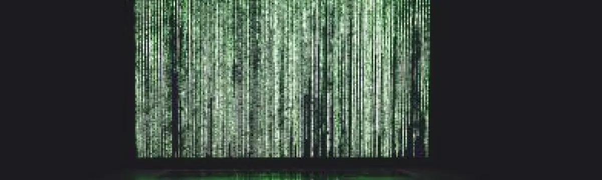 Understanding the shape of biological data: looking through the lens of optimal transport