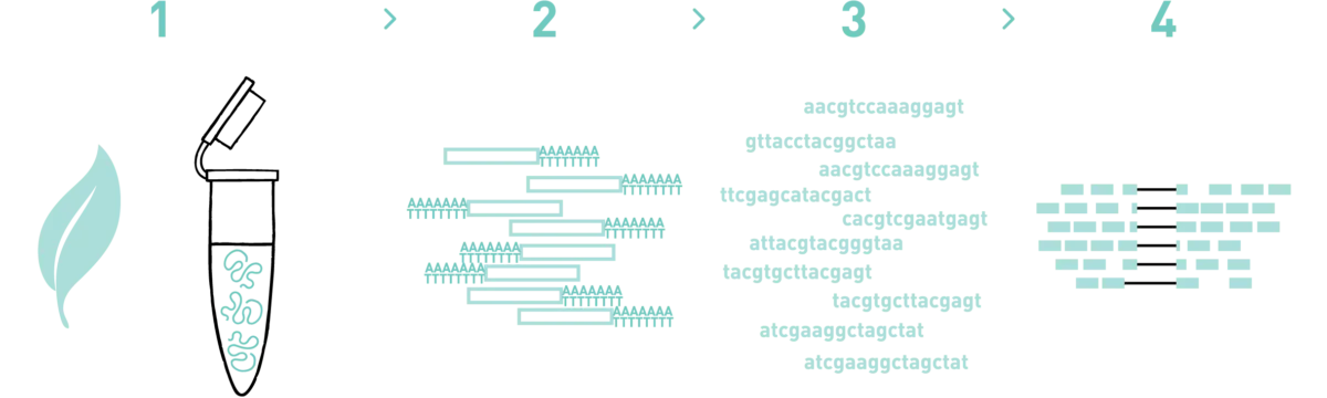 Introduction to RNA-seq Analysis